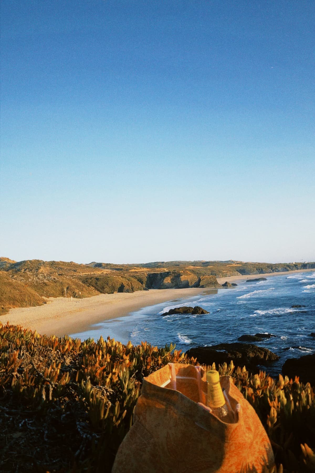 Costa Vicentina com praia e falésias